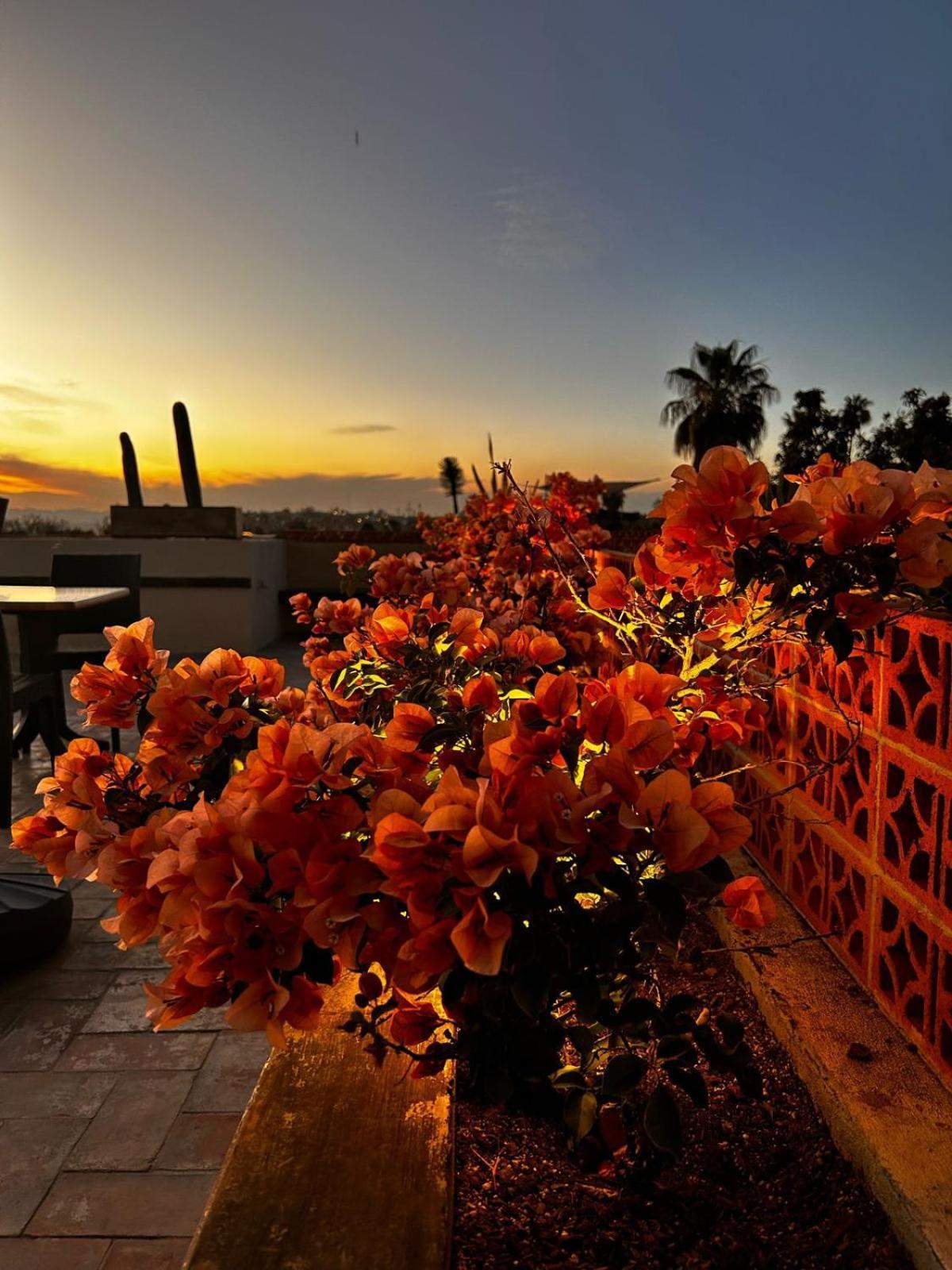 Bito's Boutique Bed & Breakfast
